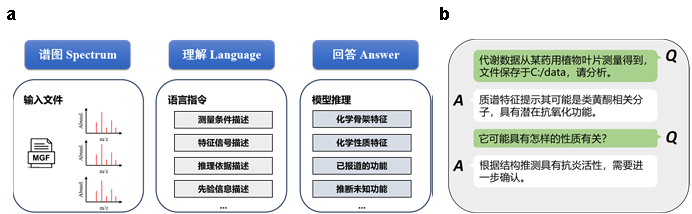 MS-LLM Framework