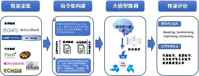 Technical Roadmap